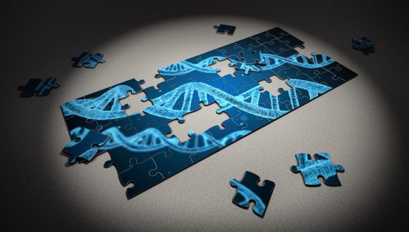 第1届DNAFORM研讨会「Novel cellular functions revealed by Cap Analysis of Gene Expression (CAGE)」会议通知（3月15日）
